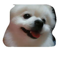 [LINEスタンプ] ぽめちゃんず