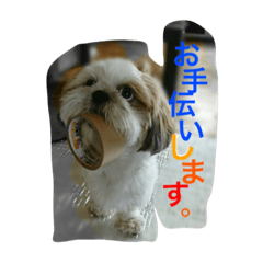 [LINEスタンプ] おしゃべりシーズー