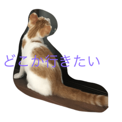 [LINEスタンプ] うちのケビン