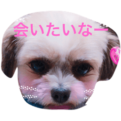 [LINEスタンプ] わんわんふらん
