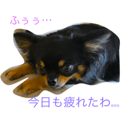 [LINEスタンプ] リンの日常