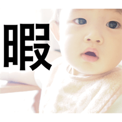[LINEスタンプ] たいようくんの毎日