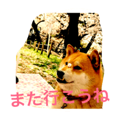 [LINEスタンプ] ナナの第一弾