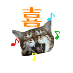[LINEスタンプ] 猫猫おもしろスタンプ