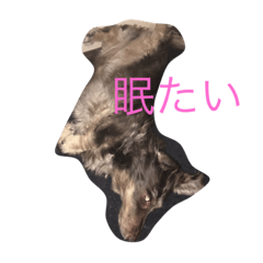 [LINEスタンプ] だらだら犬 りん