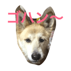 [LINEスタンプ] クリンな日