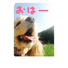 [LINEスタンプ] るるとのの
