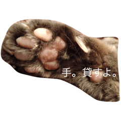 [LINEスタンプ] ねこ氏。