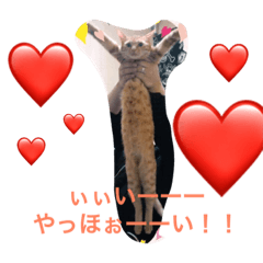 [LINEスタンプ] 猫達の休日