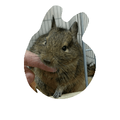 [LINEスタンプ] デグー