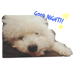 [LINEスタンプ] りんりんころん