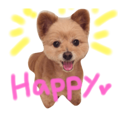 [LINEスタンプ] ポメプーのアンジュ