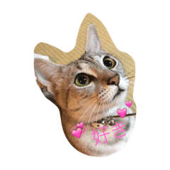 [LINEスタンプ] エジプシャンマウ ルーナの生活