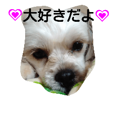 [LINEスタンプ] マカロンラブラブスタンプ