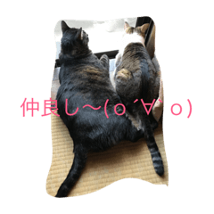[LINEスタンプ] 慎之助＆ココ