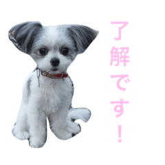[LINEスタンプ] ドグドグスタンプ