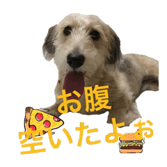 [LINEスタンプ] HAPPY DAY ！