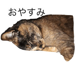 [LINEスタンプ] レイアさんのスタンプその3