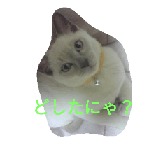 [LINEスタンプ] おんちゃんスタンプ fetchpriority=high