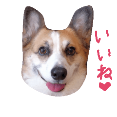 [LINEスタンプ] 眉毛コーギーもなか2