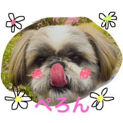 [LINEスタンプ] 我が家のアイドルブル