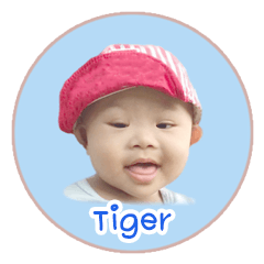 [LINEスタンプ] Nong Tiger