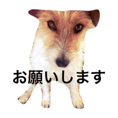 [LINEスタンプ] ホップドッグワン