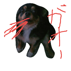 [LINEスタンプ] ラピ