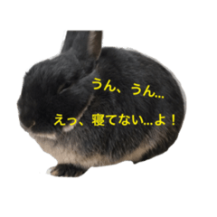 [LINEスタンプ] うさぎのめろのすけぇぇえ。
