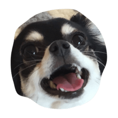 [LINEスタンプ] との、ひめ