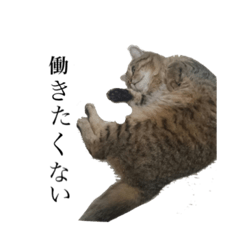 [LINEスタンプ] うなししゃ