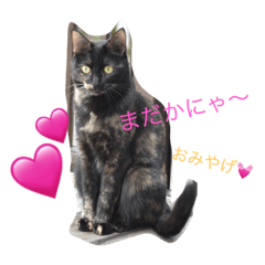 [LINEスタンプ] ほるへの日常②
