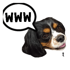 [LINEスタンプ] ドッグリフレオッジ 5