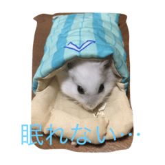 [LINEスタンプ] 動物たちの日常の会話 