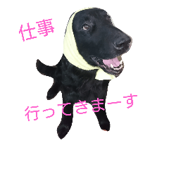 [LINEスタンプ] 犬の一言