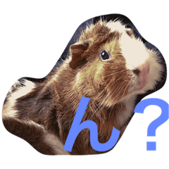 [LINEスタンプ] ぴりおスタンプ