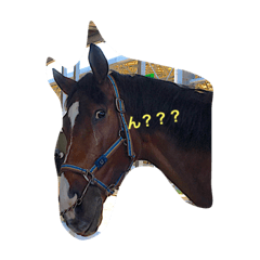 [LINEスタンプ] 馬くいくっ♪  II