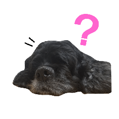 [LINEスタンプ] クック船長2
