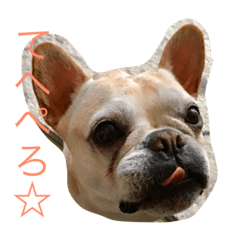 [LINEスタンプ] ブヒ さくらさん① 