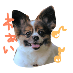 [LINEスタンプ] yuzupan 