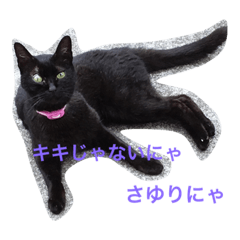 [LINEスタンプ] 黒猫さゆりの一日