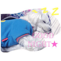 [LINEスタンプ] ココとハル