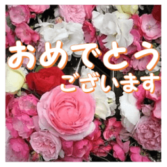 [LINEスタンプ] 薔薇の花♡アソート7_挨拶メッセージの画像（メイン）