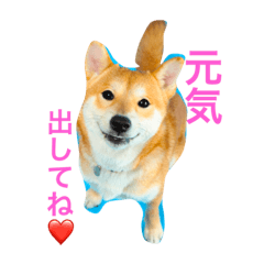[LINEスタンプ] 大好き！王ちゃん