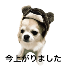 [LINEスタンプ] りーちゃんの日常