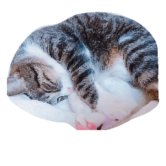 [LINEスタンプ] じゅん