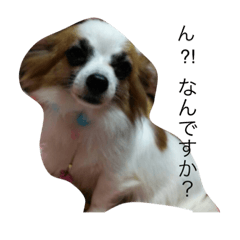[LINEスタンプ] 独り言スタンプ