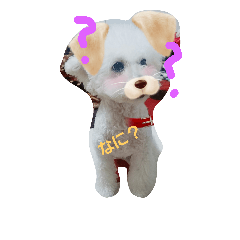 [LINEスタンプ] らむ てぃの
