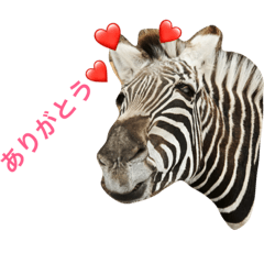 [LINEスタンプ] アニマル集合