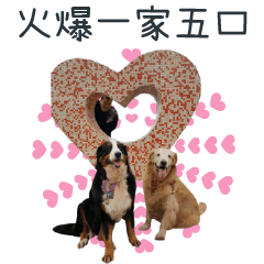 [LINEスタンプ] PKT for in love
